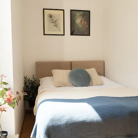 Stawki Watermelon * Warszawa